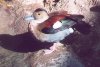 Ringed Teal - South America