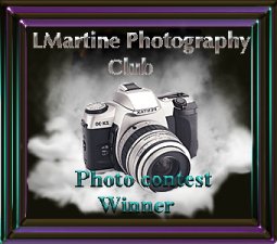 L. Martine Photography Club