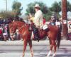 Fiesta de los Vaqueros