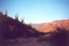 Catalina State Park